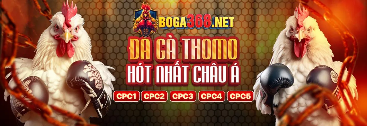 Người chia bài trực tiếp tại bàn Baccarat sang trọng